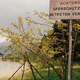 image-67743