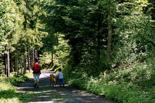 07. Erholungsquelle Wald