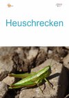 30a_Schrecken-hoch