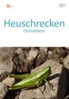 30a_Schrecken-hoch