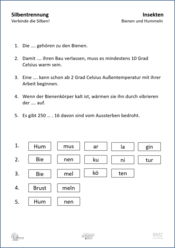 ABL_Insekten_Allgemein_Silbentrennung