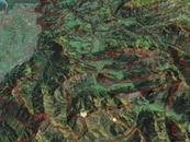 image-75739