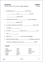 ABL_Insekten_Wespen_Lueckentext