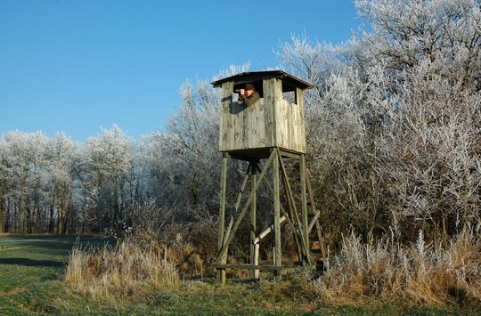 15. Jagd