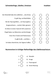 ABL_Insekten_Allgemein_Zuordnen_Ameise