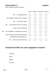 ABL_Insekten_Allgemein_Zuordnen_Biene