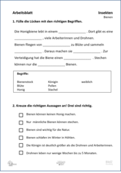 ABL_Insekten_Bienen_Zuordnen