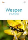 09a_Wespen-hoch