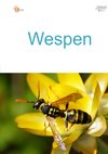 09a_Wespen-hoch