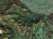 image-75742