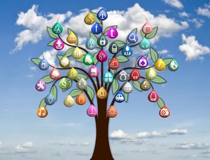 tree-240470_640