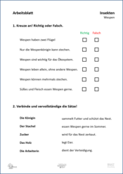 ABL_Insekten_Wespen_Zuordnen