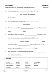 ABL_Insekten_Hornissen_Lueckentext