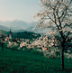 image-67407