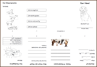 minibook