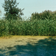 image-67742