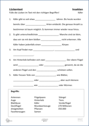ABL_Insekten_Kaefer_Lueckentext
