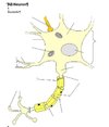 bioonline.jpg