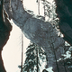 image-67737