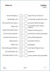 ABL_Insekten_Fliegen_Zuordnen