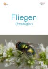 12a_Fliegen-hoch