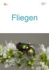 12a_Fliegen-hoch