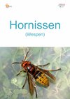 100_Hornissen_Wespen-hoch