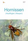 100_Hornissen_Wespen-hoch