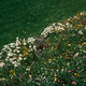 image-67748