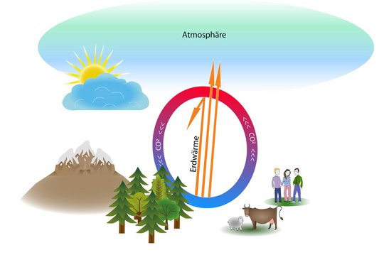 05a. Wald als Klimaregulator – ausgeglichener CO2-Kreislauf