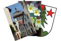 Wappen-Schroecken869-webbearb-Martinsturm-ferial-2013-Blume-Pfaender
