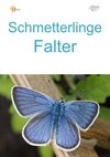 20a1_Schmetterlinge-hoch