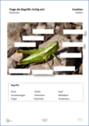 ABL_Insekten_Heuschrecken_Koerperbau