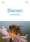 00b-Bienen-hoch