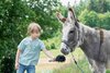 Bild: (c) Tierschutz macht Schule - Verwendung im Rahmen redaktioneller Berichterstattung