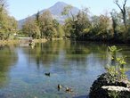 image-95278