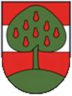Wap_Dornbirn809
