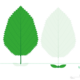 image-67886