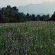 image-67736