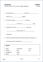 ABL_Insekten_Fliegen_Lueckentext