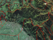 image-75741
