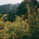 image-67745