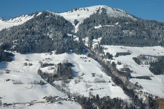 04. Schutzwald