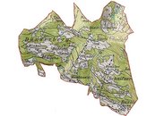image-95218
