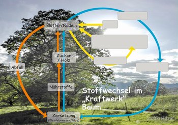 23_Stoffkreislauf-orange-webbearb