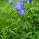image-74741