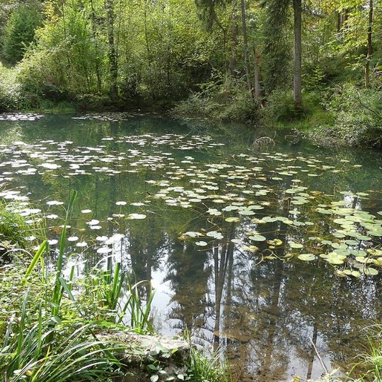 Egelsee - Foto: Reinhard Müller (CC BY-SA 4.0)