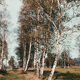 image-67734
